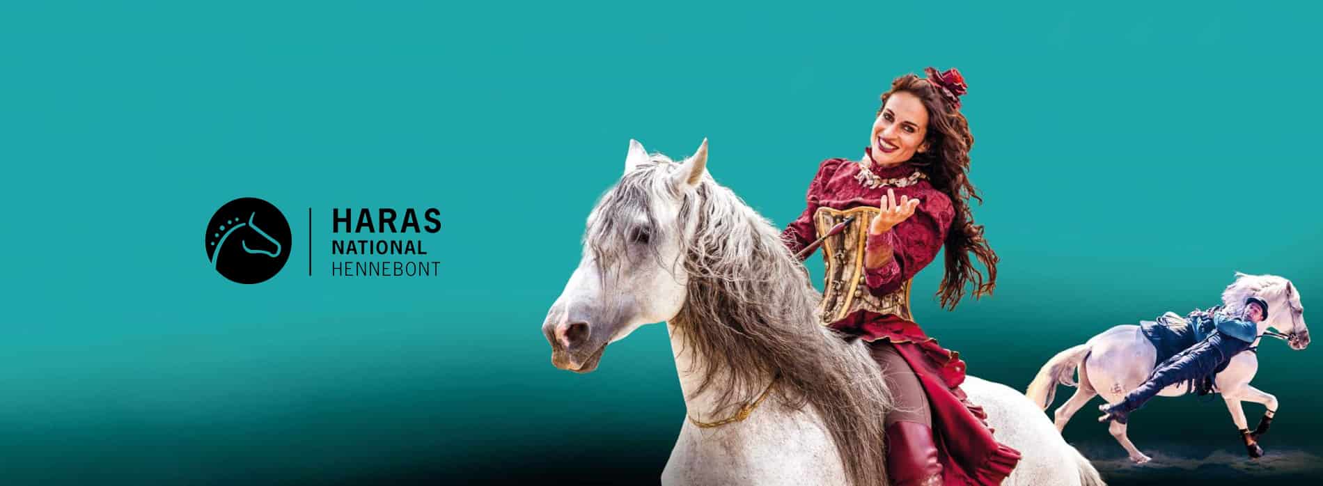 haras-site-web