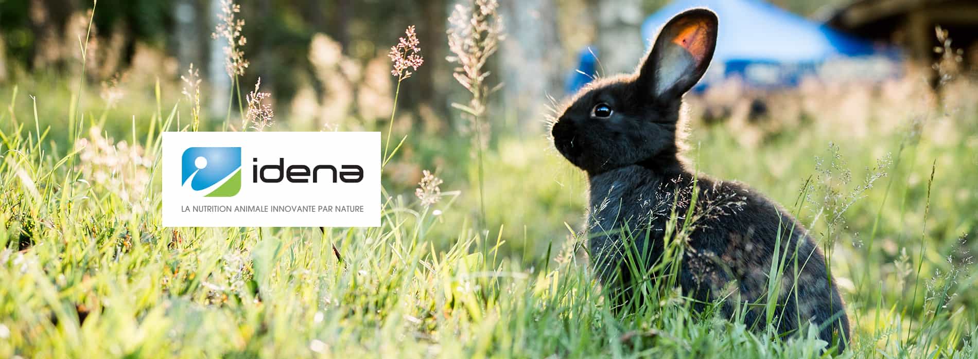 Idena Nutrition animale