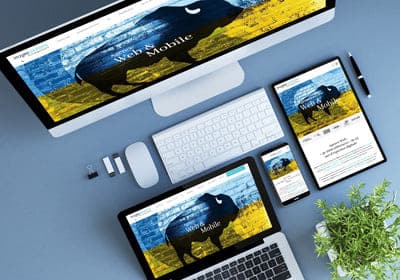 Site web responsive multi devices vignette